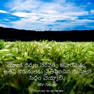 Picture 03 - నిర్గమకాండం 31:10 TELIRV - యాజక ధర్మం - Bible Verse Picture