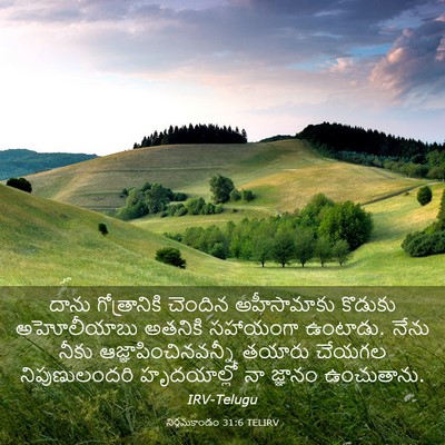 Picture 03 - నిర్గమకాండం 31:6 TELIRV - దాను గోత్రానికి - Bible Verse Picture