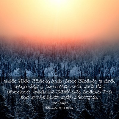 Picture 03 - నిర్గమకాండం 32:19 TELIRV - అతడు శిబిరం - Bible Verse Picture