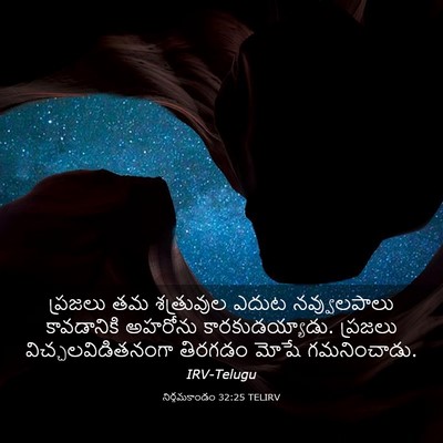 Picture 03 - నిర్గమకాండం 32:25 TELIRV - ప్రజలు తమ - Bible Verse Picture