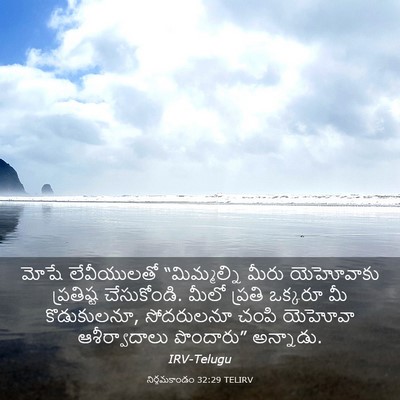 Picture 03 - నిర్గమకాండం 32:29 TELIRV - మోషే లేవీయులతో - Bible Verse Picture