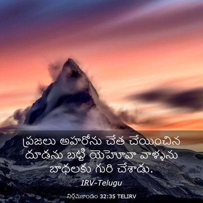 Picture 03 - నిర్గమకాండం 32:35 TELIRV - ప్రజలు అహరోను చేత - Bible Verse Picture