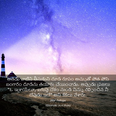 Picture 03 - నిర్గమకాండం 32:4 TELIRV - అతడు వాటిని - Bible Verse Picture