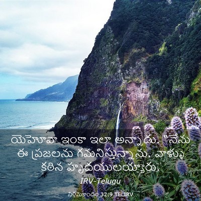 Picture 03 - నిర్గమకాండం 32:9 TELIRV - యెహోవా ఇంకా ఇలా - Bible Verse Picture