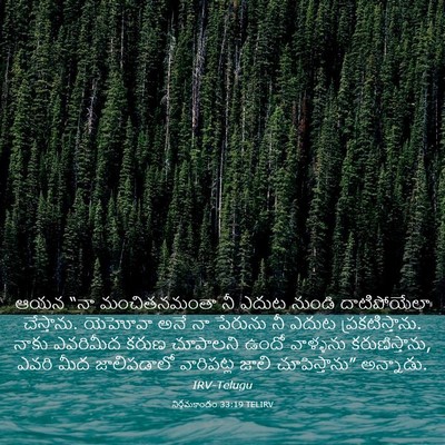 Picture 03 - నిర్గమకాండం 33:19 TELIRV - ఆయన “నా - Bible Verse Picture