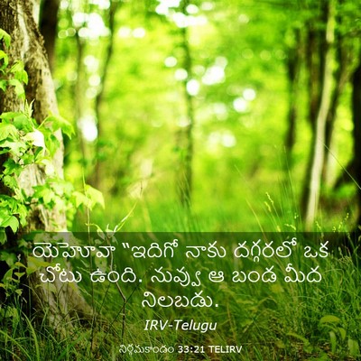 Picture 03 - నిర్గమకాండం 33:21 TELIRV - యెహోవా “ఇదిగో - Bible Verse Picture