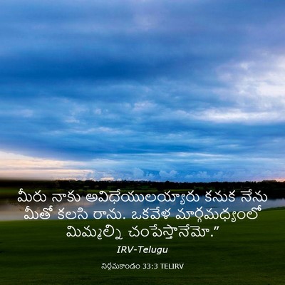 Picture 03 - నిర్గమకాండం 33:3 TELIRV - మీరు నాకు - Bible Verse Picture