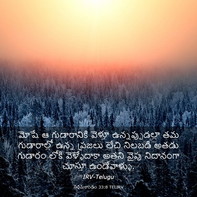 Picture 03 - నిర్గమకాండం 33:8 TELIRV - మోషే ఆ గుడారానికి - Bible Verse Picture