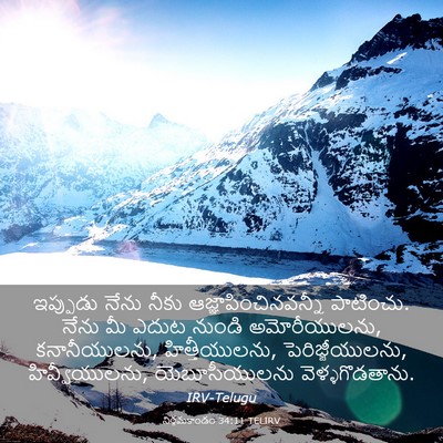 Picture 03 - నిర్గమకాండం 34:11 TELIRV - ఇప్పుడు నేను నీకు - Bible Verse Picture