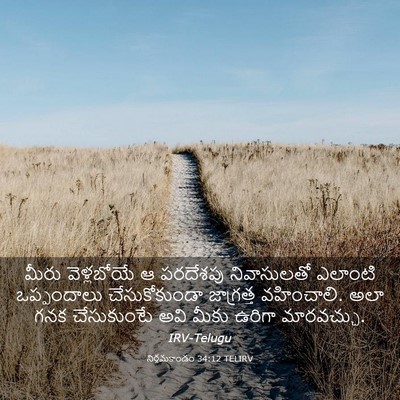 Picture 03 - నిర్గమకాండం 34:12 TELIRV - మీరు వెళ్లబోయే ఆ - Bible Verse Picture