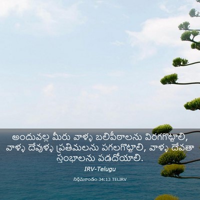 Picture 03 - నిర్గమకాండం 34:13 TELIRV - అందువల్ల మీరు - Bible Verse Picture