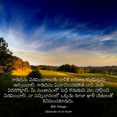 Picture 03 - నిర్గమకాండం 34:20 TELIRV - గాడిదను - Bible Verse Picture