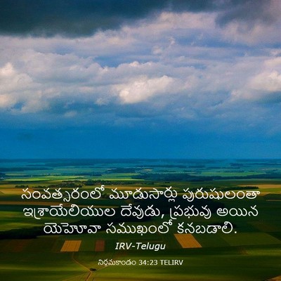Picture 03 - నిర్గమకాండం 34:23 TELIRV - సంవత్సరంలో - Bible Verse Picture