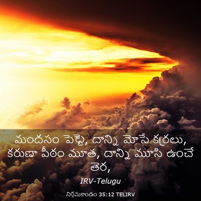 Picture 03 - నిర్గమకాండం 35:12 TELIRV - మందసం పెట్టె, - Bible Verse Picture