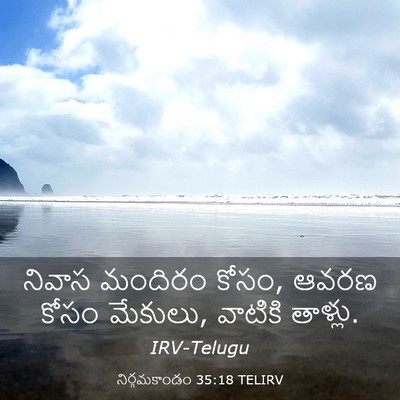 Picture 03 - నిర్గమకాండం 35:18 TELIRV - నివాస మందిరం కోసం, - Bible Verse Picture