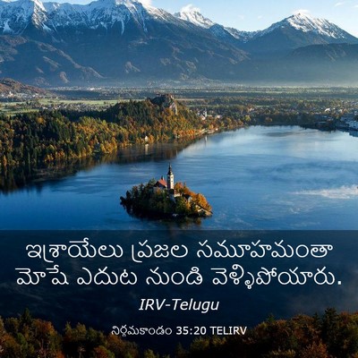 Picture 03 - నిర్గమకాండం 35:20 TELIRV - ఇశ్రాయేలు ప్రజల - Bible Verse Picture