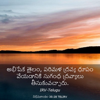 Picture 03 - నిర్గమకాండం 35:28 TELIRV - అభిషేక తైలం, పరిమళ - Bible Verse Picture