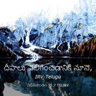 Picture 03 - నిర్గమకాండం 35:7 TELIRV - దీపాలు - Bible Verse Picture