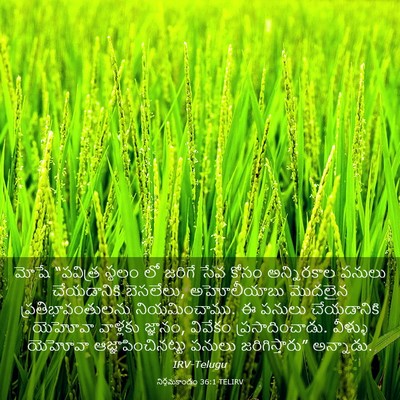 Picture 03 - నిర్గమకాండం 36:1 TELIRV - మోషే “పవిత్ర - Bible Verse Picture
