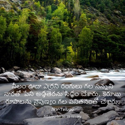 Picture 03 - నిర్గమకాండం 36:35 TELIRV - నీలం ఊదా ఎర్రని - Bible Verse Picture