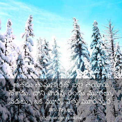 Picture 03 - నిర్గమకాండం 37:10 TELIRV - అతడు తుమ్మకర్రతో - Bible Verse Picture