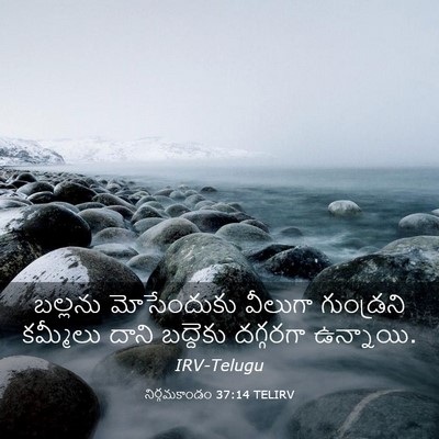Picture 03 - నిర్గమకాండం 37:14 TELIRV - బల్లను మోసేందుకు - Bible Verse Picture
