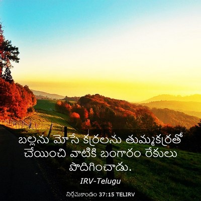 Picture 03 - నిర్గమకాండం 37:15 TELIRV - బల్లను మోసే - Bible Verse Picture