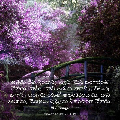 Picture 03 - నిర్గమకాండం 37:17 TELIRV - అతడు దీప - Bible Verse Picture