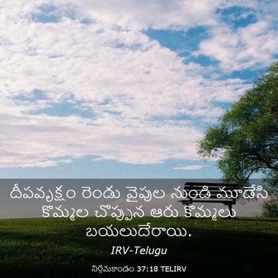 Picture 03 - నిర్గమకాండం 37:18 TELIRV - దీపవృక్షం రెండు - Bible Verse Picture