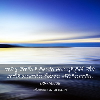 Picture 03 - నిర్గమకాండం 37:28 TELIRV - దాన్ని మోసే - Bible Verse Picture