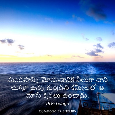 Picture 03 - నిర్గమకాండం 37:5 TELIRV - మందసాన్ని - Bible Verse Picture