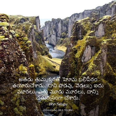 Picture 03 - నిర్గమకాండం 38:1 TELIRV - అతడు తుమ్మకర్రతో - Bible Verse Picture