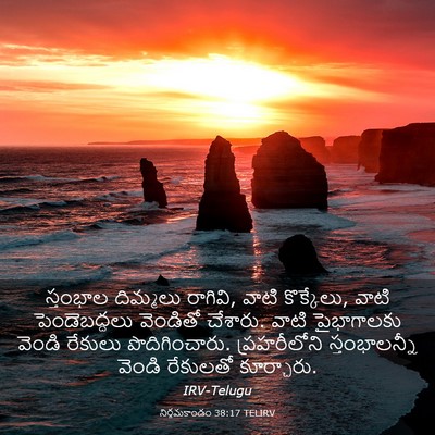 Picture 03 - నిర్గమకాండం 38:17 TELIRV - స్తంభాల దిమ్మలు - Bible Verse Picture