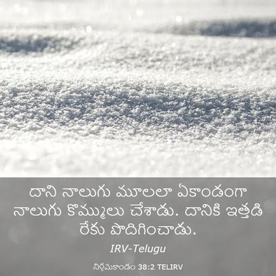Picture 03 - నిర్గమకాండం 38:2 TELIRV - దాని నాలుగు మూలలా - Bible Verse Picture