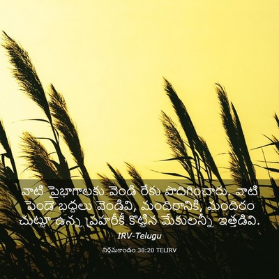 Picture 03 - నిర్గమకాండం 38:20 TELIRV - వాటి పైభాగాలకు - Bible Verse Picture