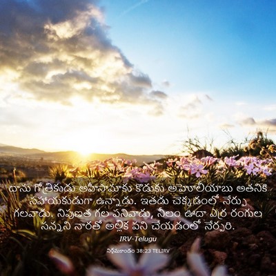 Picture 03 - నిర్గమకాండం 38:23 TELIRV - దాను గోత్రికుడు - Bible Verse Picture
