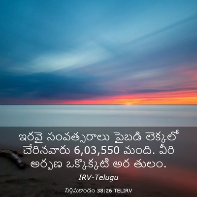 Picture 03 - నిర్గమకాండం 38:26 TELIRV - ఇరవై సంవత్సరాలు - Bible Verse Picture