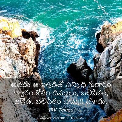 Picture 03 - నిర్గమకాండం 38:30 TELIRV - అతడు ఆ ఇత్తడితో - Bible Verse Picture