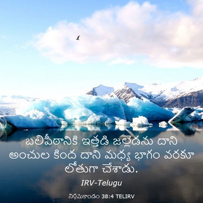 Picture 03 - నిర్గమకాండం 38:4 TELIRV - బలిపీఠానికి - Bible Verse Picture