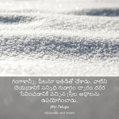 Picture 03 - నిర్గమకాండం 38:8 TELIRV - గంగాళాన్నీ, పీటనూ - Bible Verse Picture
