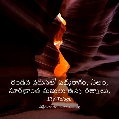 Picture 03 - నిర్గమకాండం 39:11 TELIRV - రెండవ వరుసలో - Bible Verse Picture