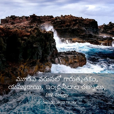 Picture 03 - నిర్గమకాండం 39:12 TELIRV - మూడవ వరుసలో - Bible Verse Picture