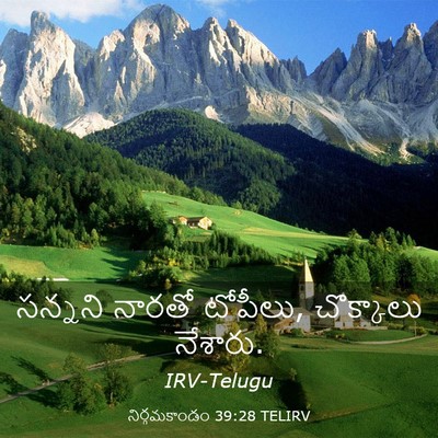 Picture 03 - నిర్గమకాండం 39:28 TELIRV - సన్నని నారతో - Bible Verse Picture