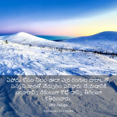 Picture 03 - నిర్గమకాండం 39:3 TELIRV - ఏఫోదు కోసం నీలం - Bible Verse Picture