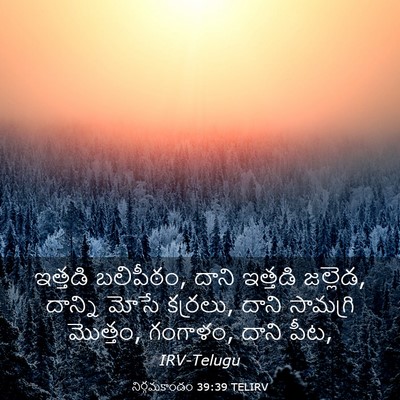 Picture 03 - నిర్గమకాండం 39:39 TELIRV - ఇత్తడి బలిపీఠం, - Bible Verse Picture