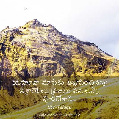 Picture 03 - నిర్గమకాండం 39:42 TELIRV - యెహోవా మోషేకు - Bible Verse Picture