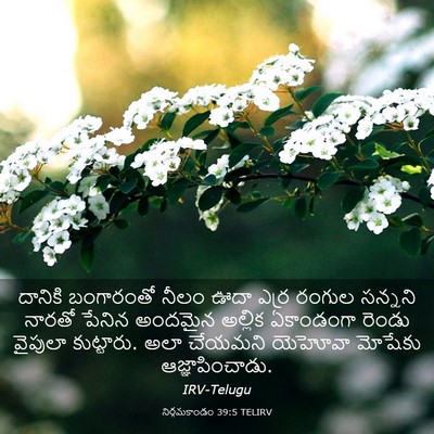 Picture 03 - నిర్గమకాండం 39:5 TELIRV - దానికి బంగారంతో - Bible Verse Picture