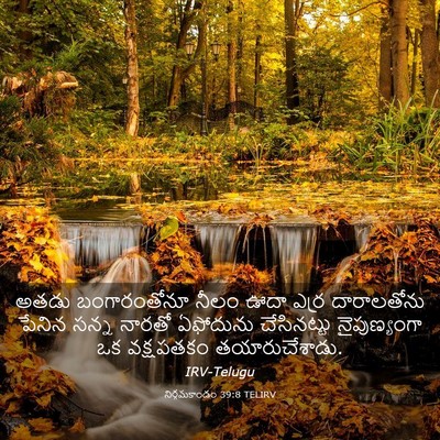 Picture 03 - నిర్గమకాండం 39:8 TELIRV - అతడు బంగారంతోనూ - Bible Verse Picture