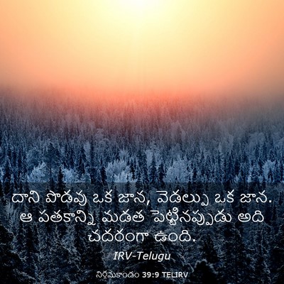 Picture 03 - నిర్గమకాండం 39:9 TELIRV - దాని పొడవు ఒక జాన, - Bible Verse Picture