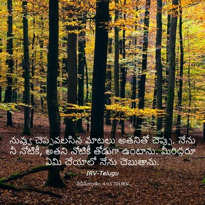 Picture 03 - నిర్గమకాండం 4:15 TELIRV - నువ్వు చెప్పవలసిన - Bible Verse Picture
